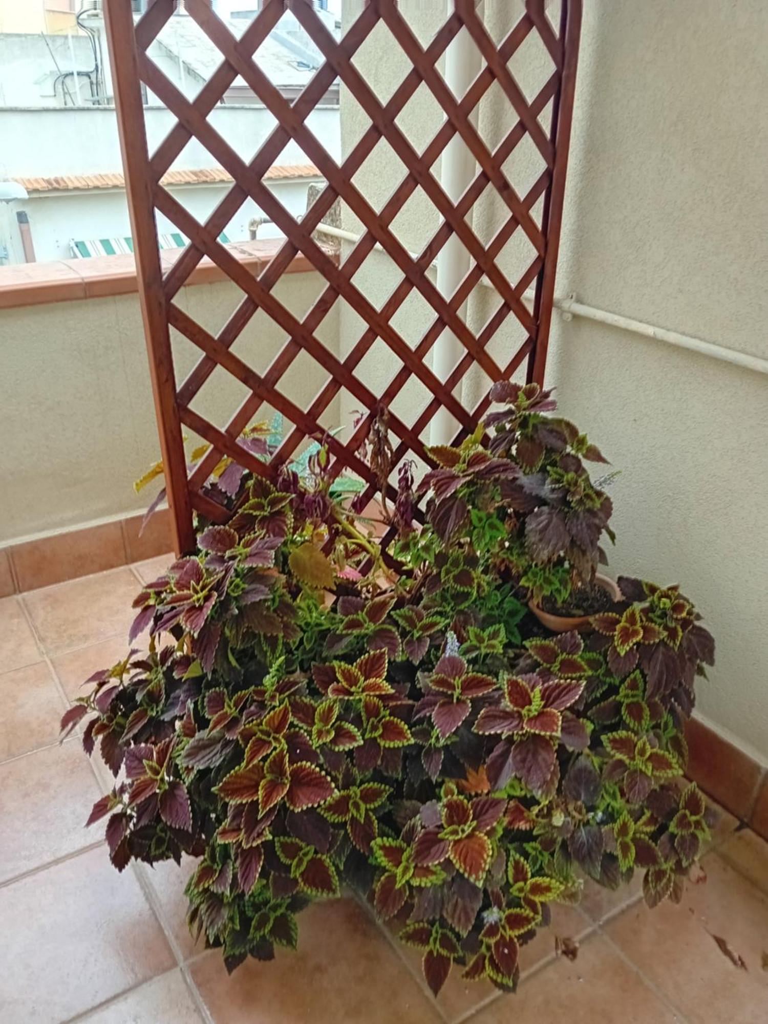 A Casa Tua Affitti Brevi Bed & Breakfast Noto Ruang foto